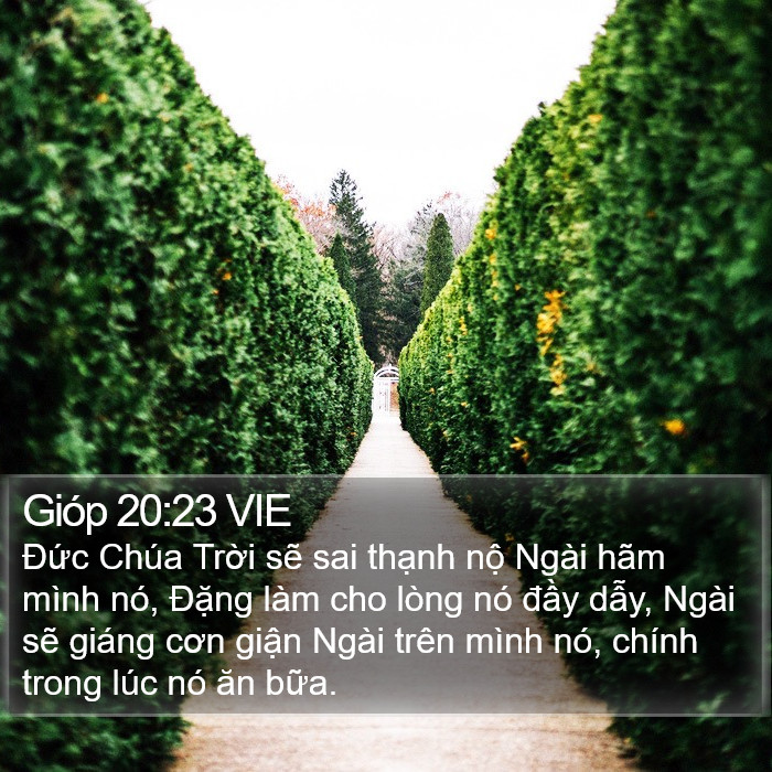 Gióp 20:23 VIE Bible Study