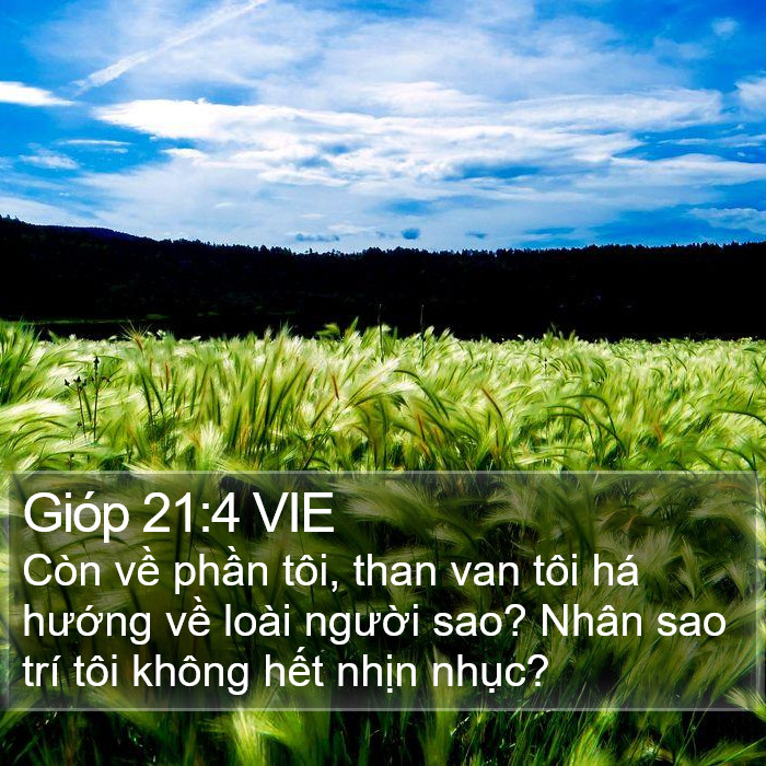 Gióp 21:4 VIE Bible Study
