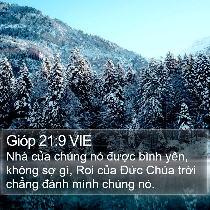 Gióp 21:9 VIE Bible Study