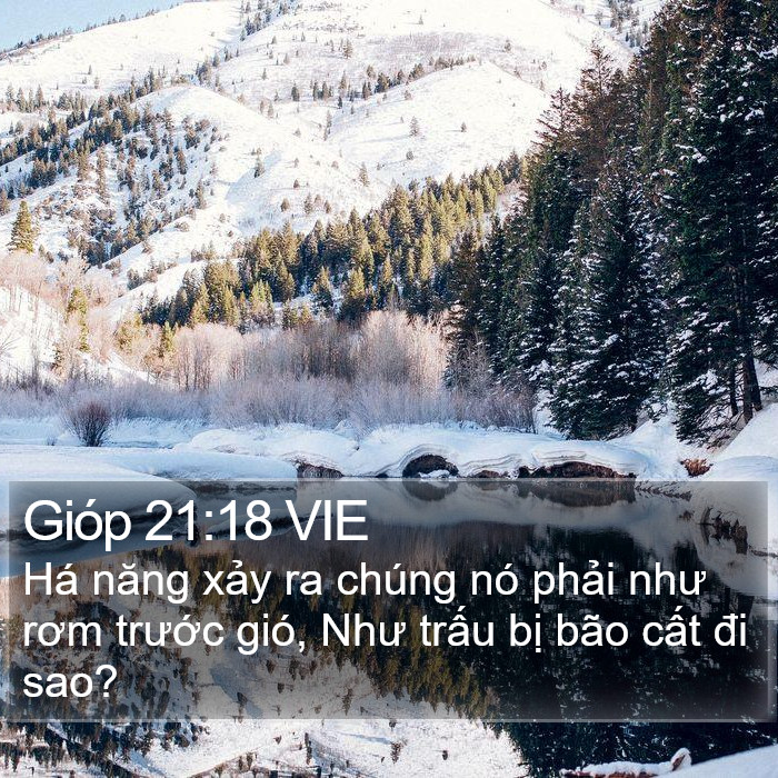 Gióp 21:18 VIE Bible Study