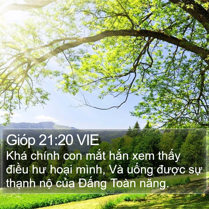 Gióp 21:20 VIE Bible Study