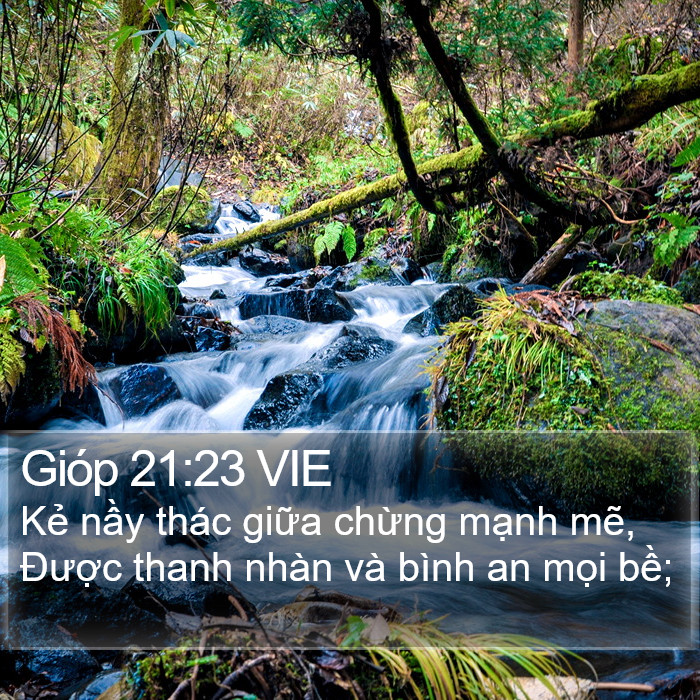 Gióp 21:23 VIE Bible Study