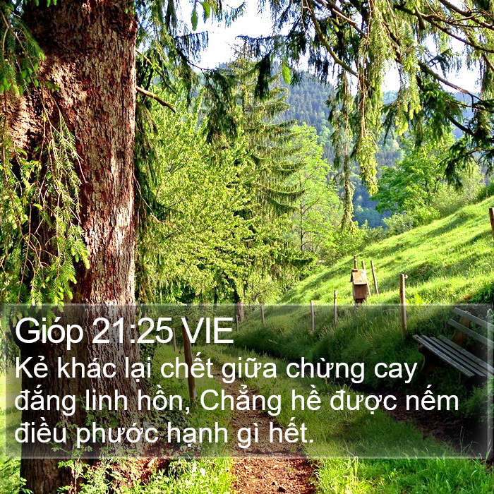 Gióp 21:25 VIE Bible Study