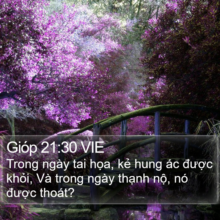 Gióp 21:30 VIE Bible Study