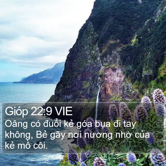 Gióp 22:9 VIE Bible Study