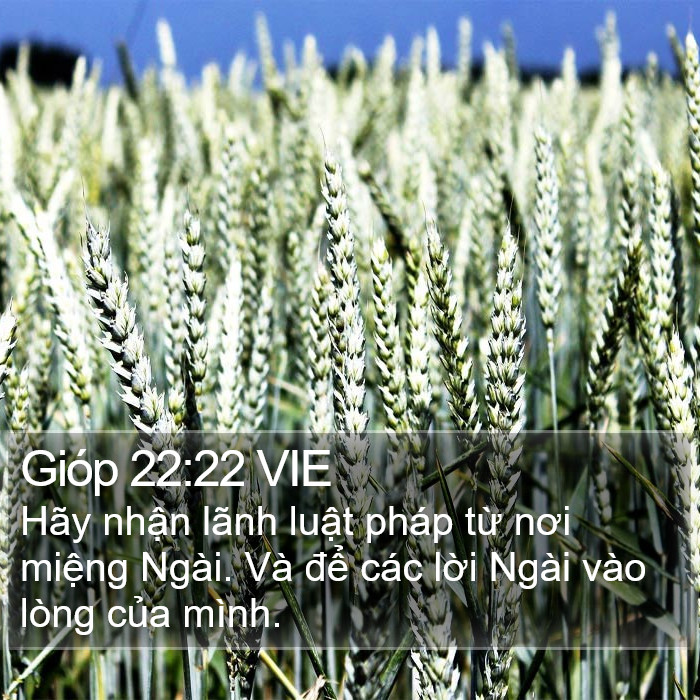 Gióp 22:22 VIE Bible Study