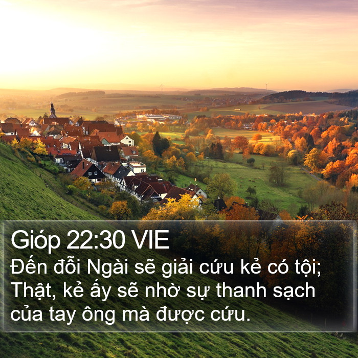 Gióp 22:30 VIE Bible Study