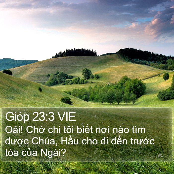 Gióp 23:3 VIE Bible Study