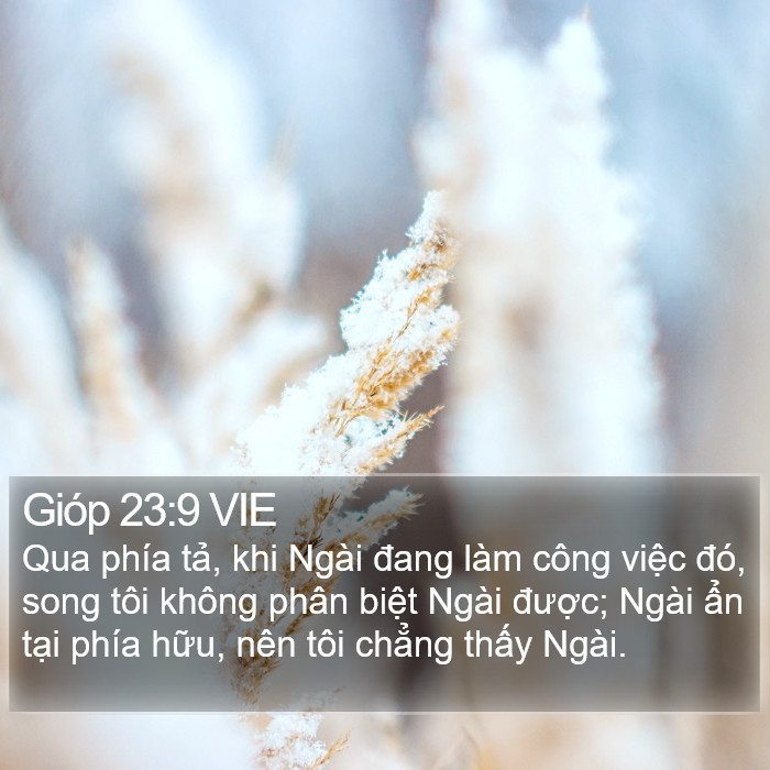 Gióp 23:9 VIE Bible Study