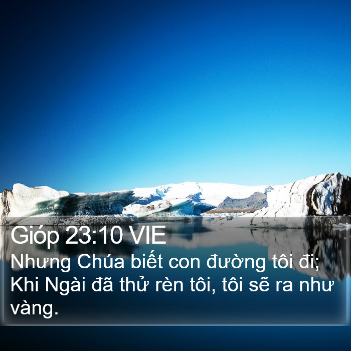 Gióp 23:10 VIE Bible Study