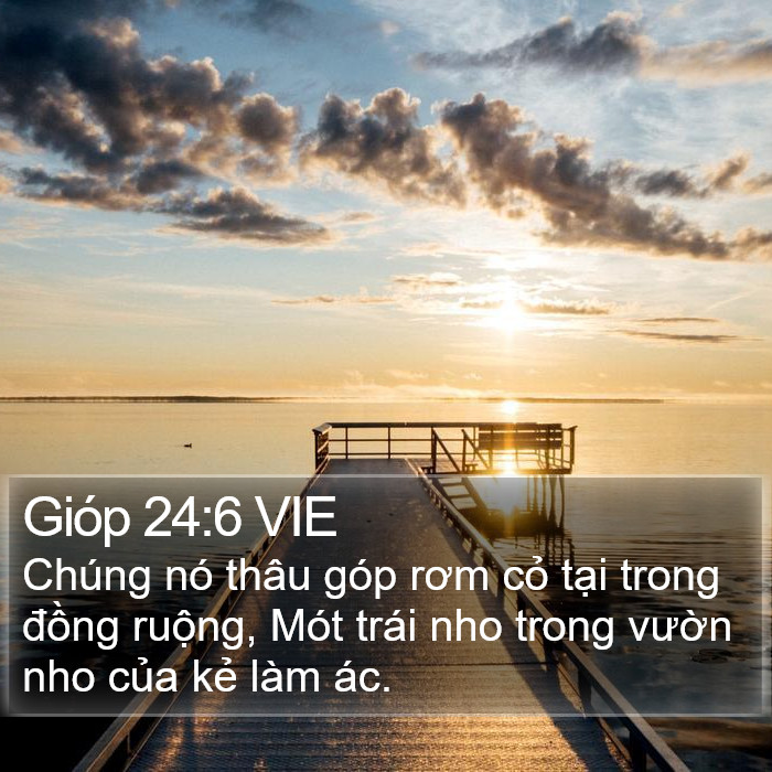 Gióp 24:6 VIE Bible Study