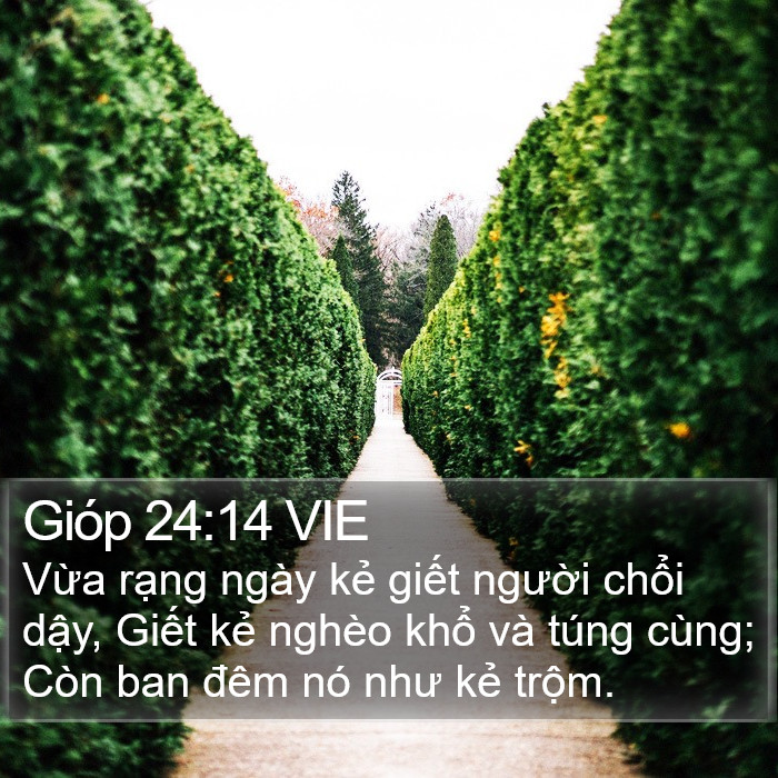 Gióp 24:14 VIE Bible Study
