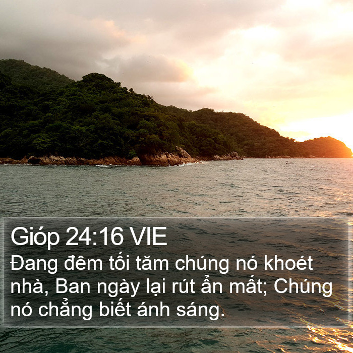 Gióp 24:16 VIE Bible Study