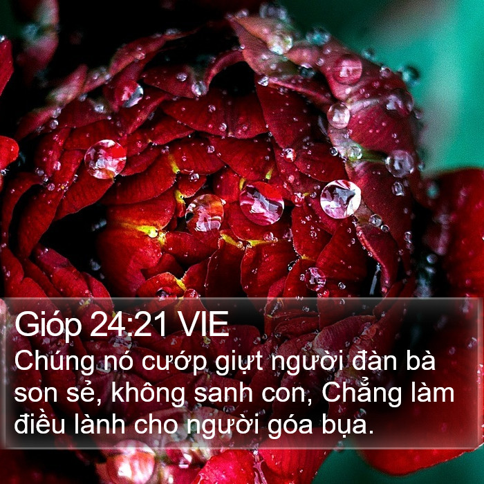 Gióp 24:21 VIE Bible Study