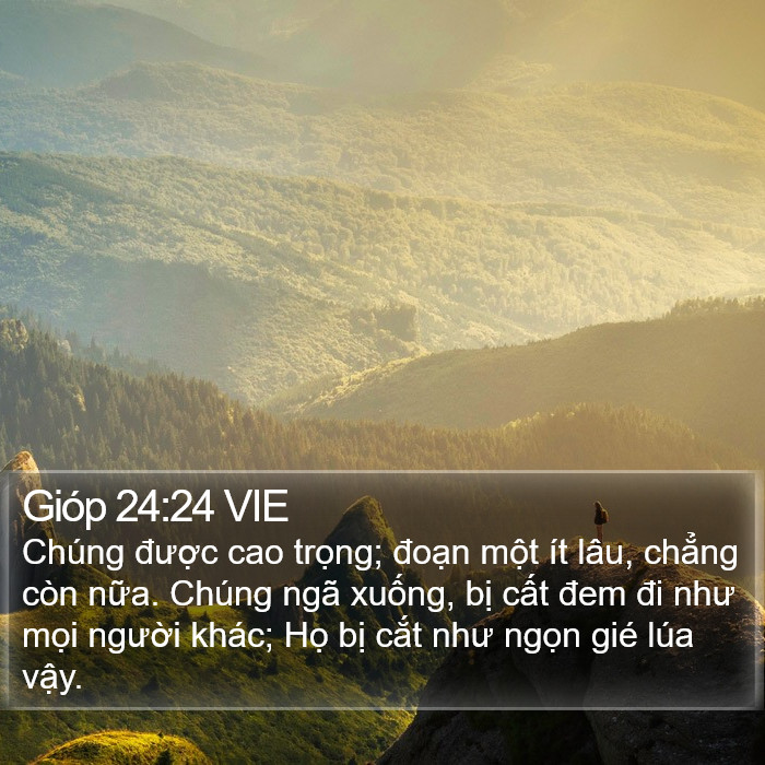 Gióp 24:24 VIE Bible Study