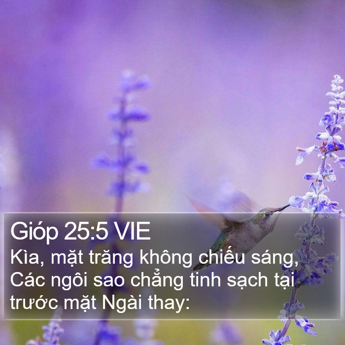 Gióp 25:5 VIE Bible Study