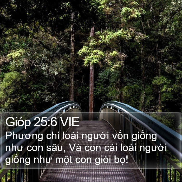 Gióp 25:6 VIE Bible Study