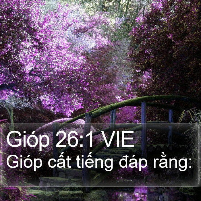 Gióp 26:1 VIE Bible Study