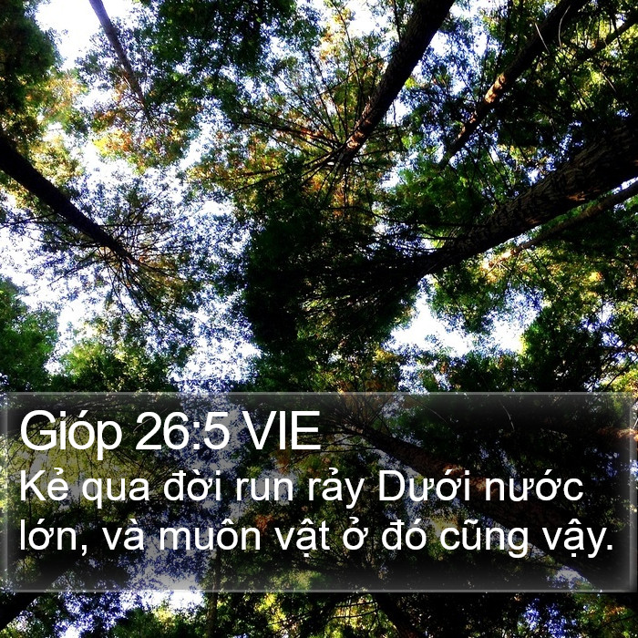 Gióp 26:5 VIE Bible Study