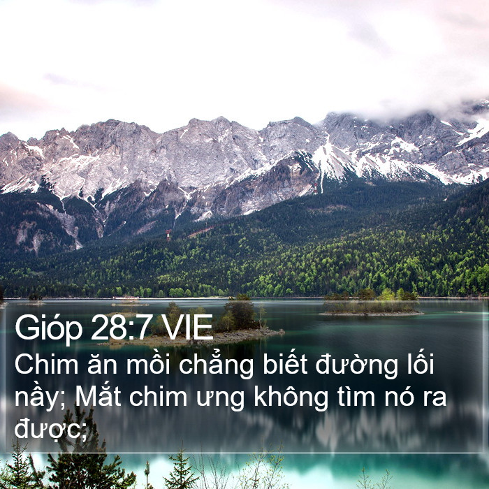 Gióp 28:7 VIE Bible Study