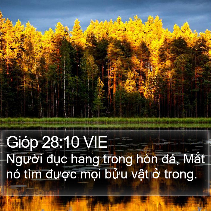 Gióp 28:10 VIE Bible Study