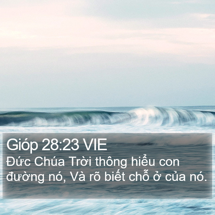 Gióp 28:23 VIE Bible Study