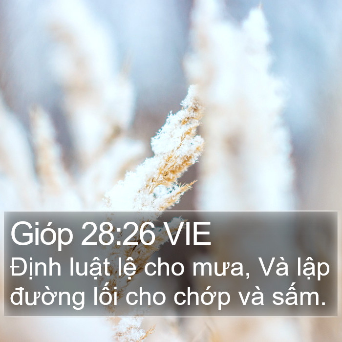 Gióp 28:26 VIE Bible Study