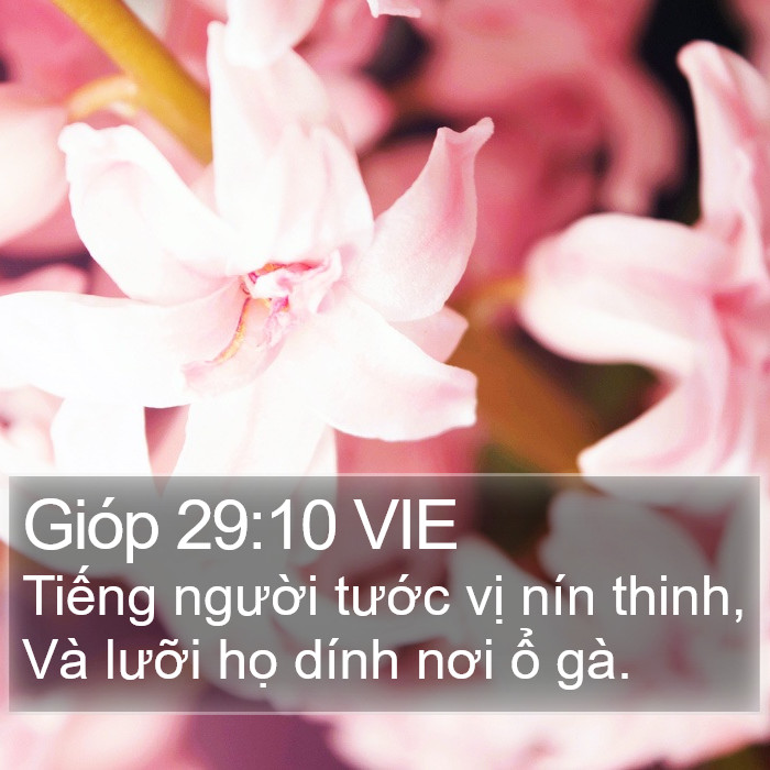 Gióp 29:10 VIE Bible Study