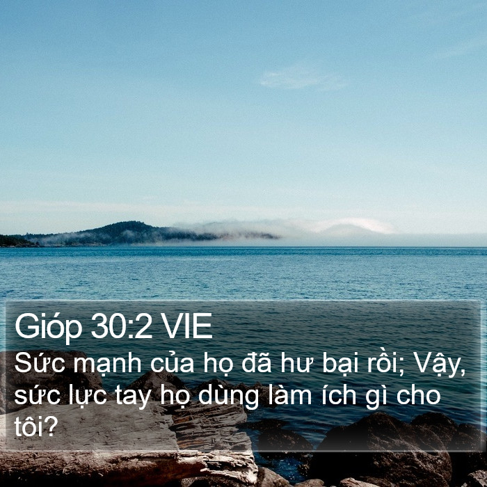 Gióp 30:2 VIE Bible Study
