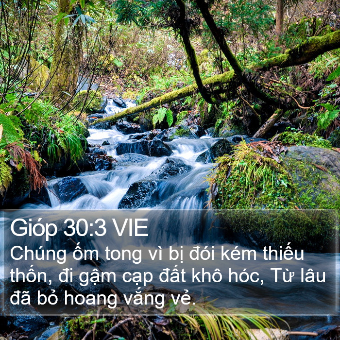 Gióp 30:3 VIE Bible Study