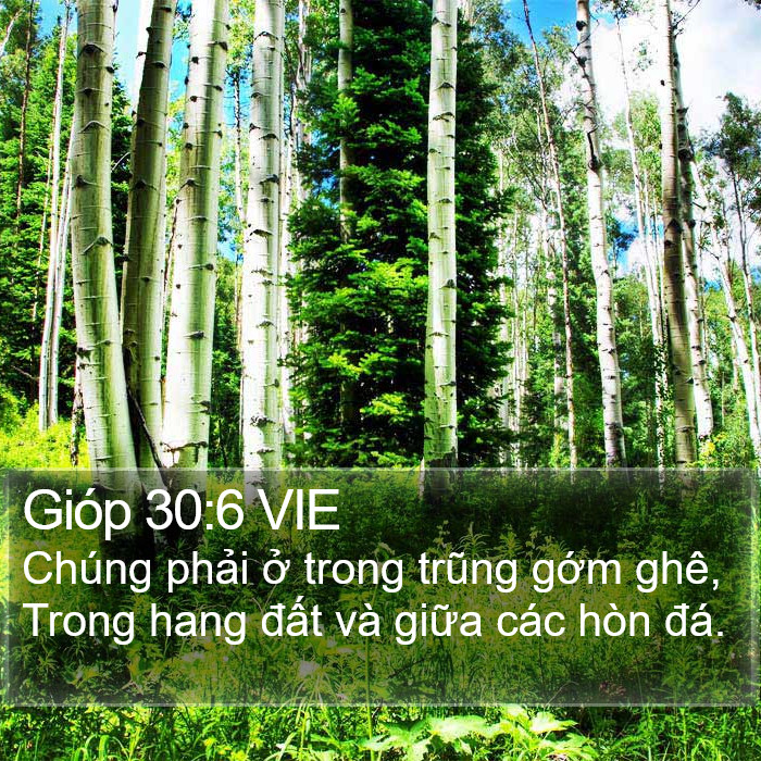 Gióp 30:6 VIE Bible Study