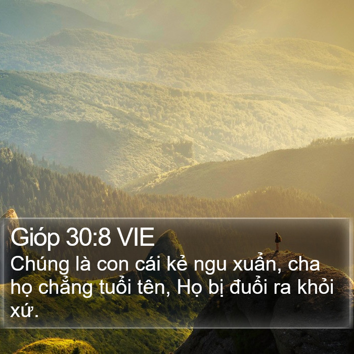 Gióp 30:8 VIE Bible Study
