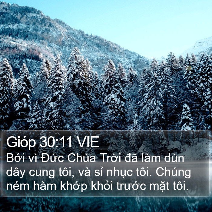 Gióp 30:11 VIE Bible Study