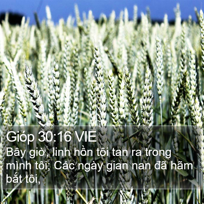 Gióp 30:16 VIE Bible Study
