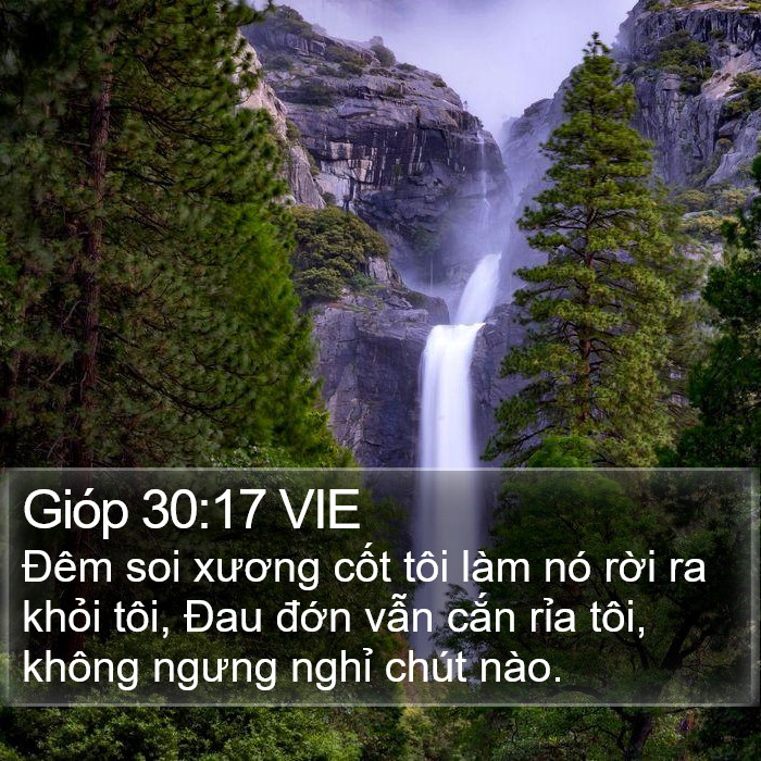 Gióp 30:17 VIE Bible Study