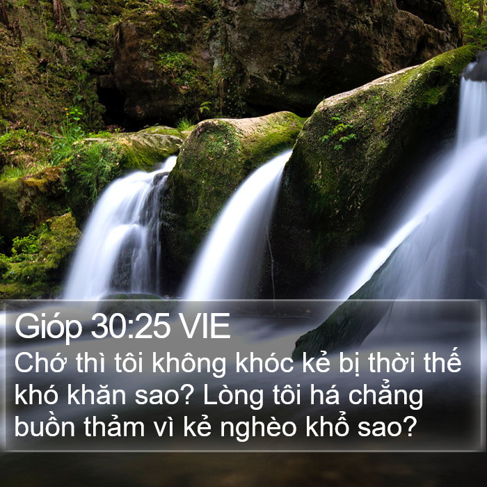 Gióp 30:25 VIE Bible Study