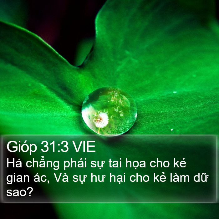 Gióp 31:3 VIE Bible Study