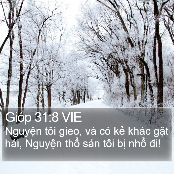 Gióp 31:8 VIE Bible Study