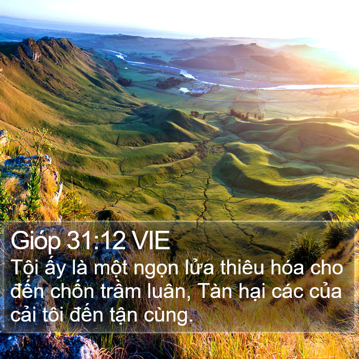 Gióp 31:12 VIE Bible Study