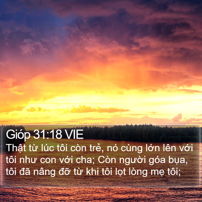 Gióp 31:18 VIE Bible Study