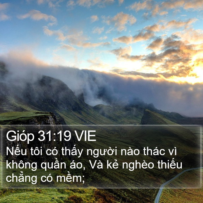 Gióp 31:19 VIE Bible Study