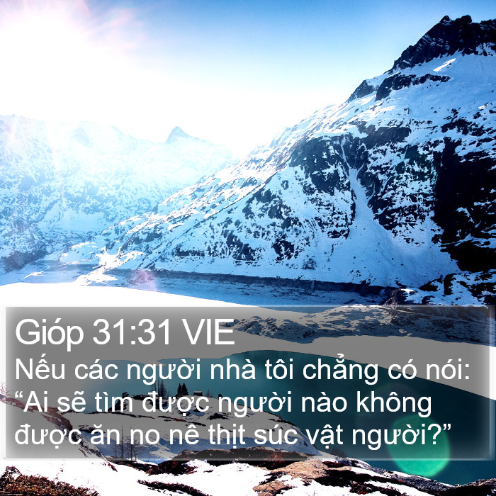 Gióp 31:31 VIE Bible Study