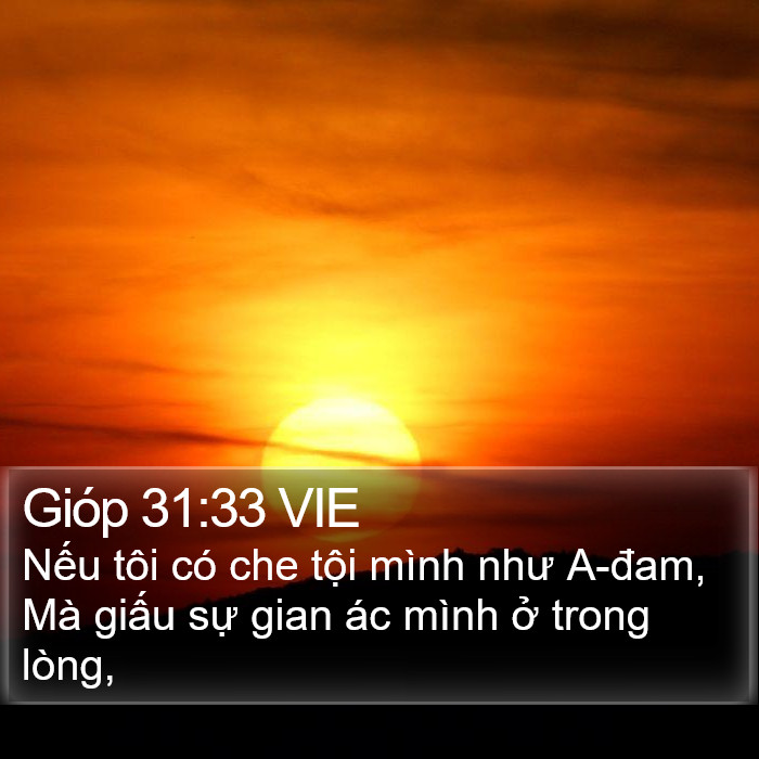 Gióp 31:33 VIE Bible Study