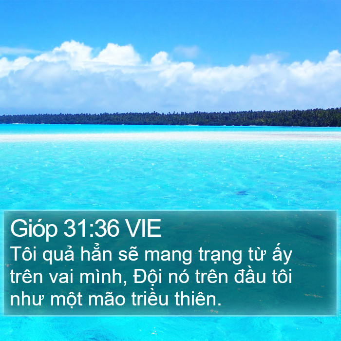 Gióp 31:36 VIE Bible Study