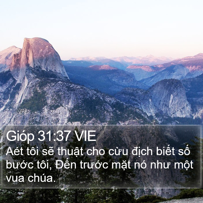 Gióp 31:37 VIE Bible Study