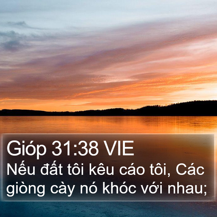 Gióp 31:38 VIE Bible Study