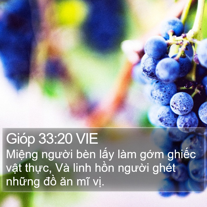 Gióp 33:20 VIE Bible Study