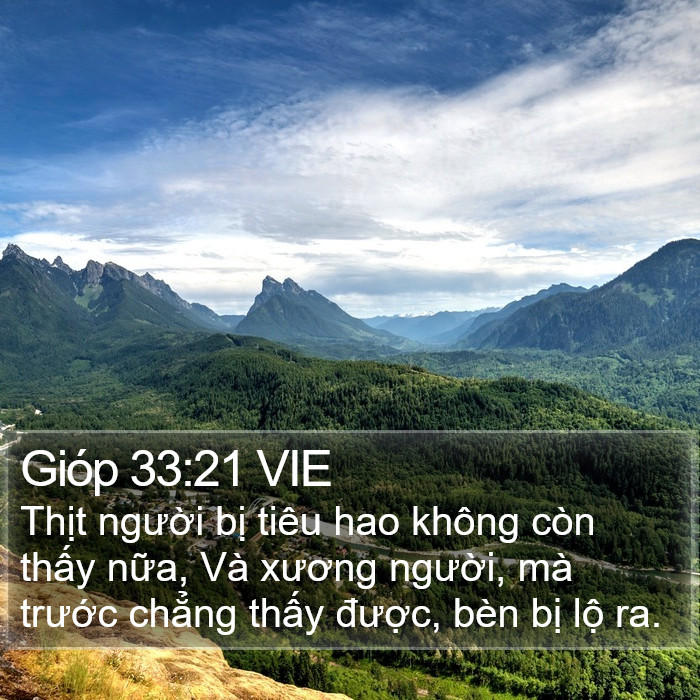 Gióp 33:21 VIE Bible Study
