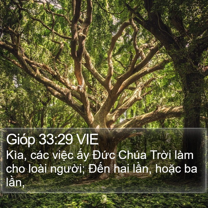 Gióp 33:29 VIE Bible Study