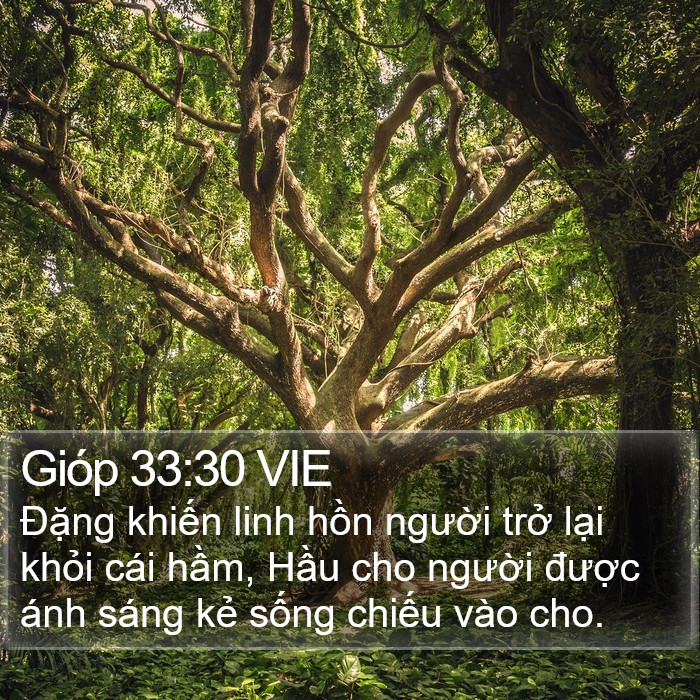 Gióp 33:30 VIE Bible Study
